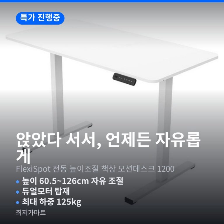플렉시스팟 전동 높이조절 책상 모션데스크 1200 스탠딩 듀얼모터 고르는 법
